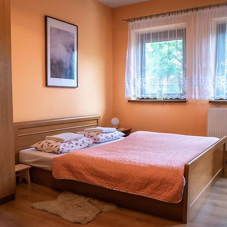 Apartament Domino - Krzeptowki 06 زاكوباني المظهر الخارجي الصورة