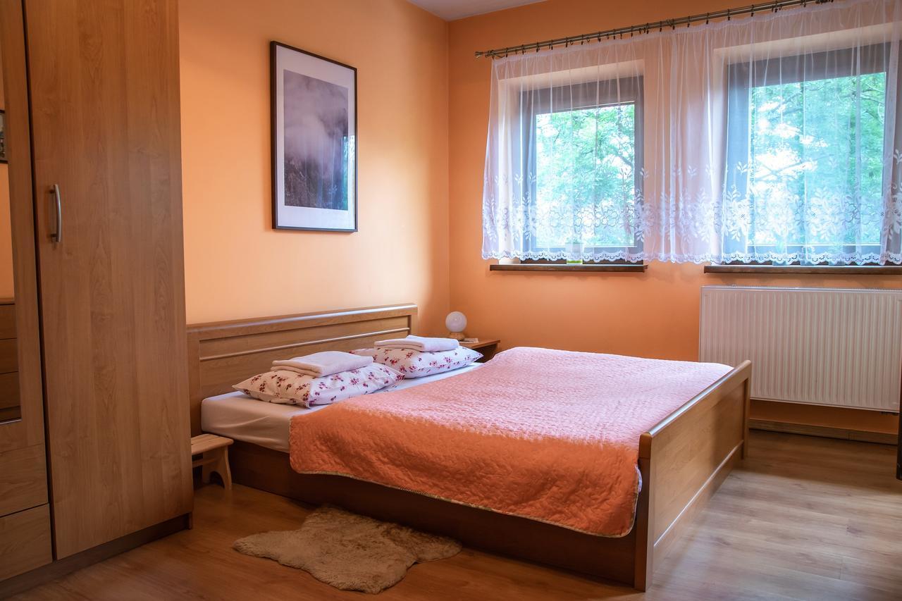 Apartament Domino - Krzeptowki 06 زاكوباني المظهر الخارجي الصورة